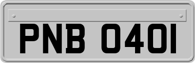 PNB0401