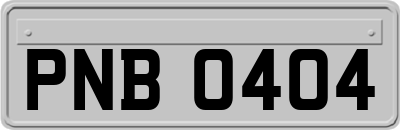 PNB0404