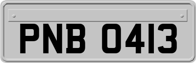 PNB0413