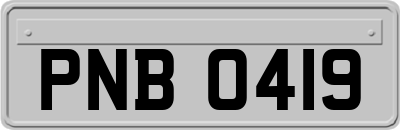 PNB0419