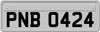 PNB0424