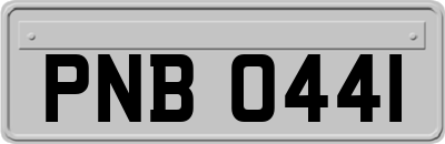 PNB0441