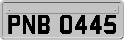PNB0445
