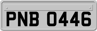 PNB0446