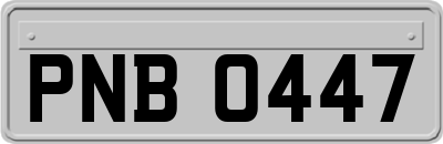 PNB0447