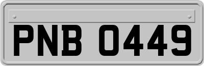 PNB0449