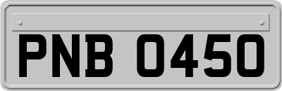 PNB0450
