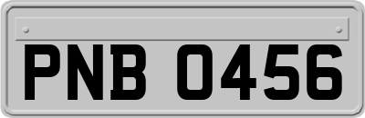 PNB0456