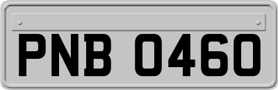 PNB0460