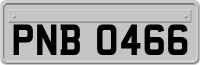 PNB0466