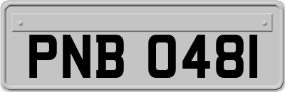 PNB0481