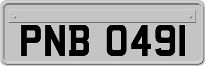 PNB0491