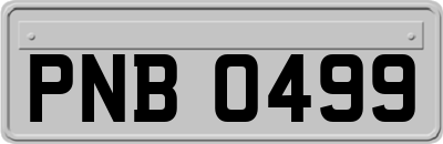PNB0499