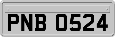 PNB0524