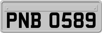 PNB0589