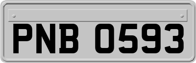 PNB0593