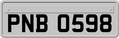 PNB0598