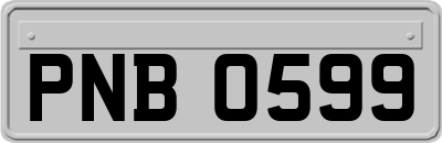 PNB0599