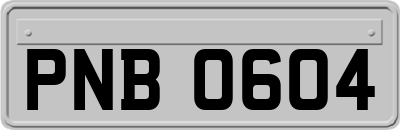 PNB0604