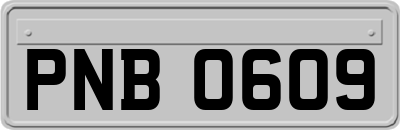 PNB0609