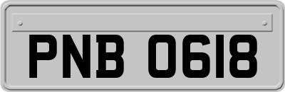 PNB0618