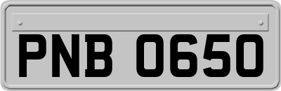 PNB0650