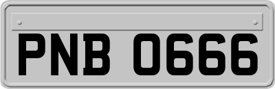 PNB0666
