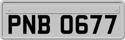 PNB0677