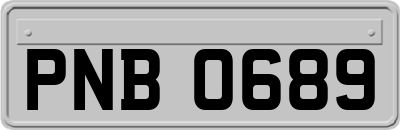 PNB0689