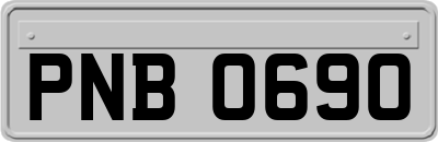 PNB0690