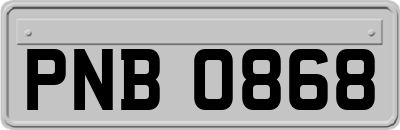 PNB0868
