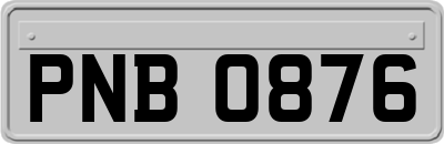 PNB0876