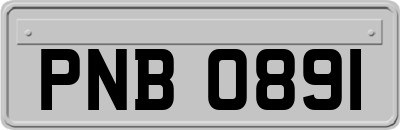 PNB0891