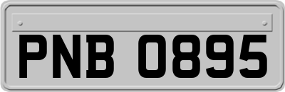 PNB0895