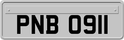 PNB0911