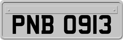 PNB0913