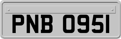 PNB0951