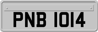 PNB1014