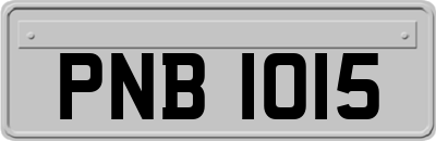 PNB1015