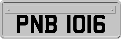 PNB1016