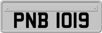 PNB1019