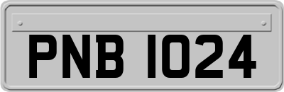 PNB1024