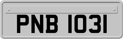 PNB1031