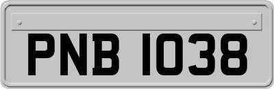 PNB1038