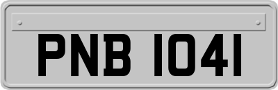 PNB1041