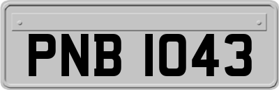 PNB1043