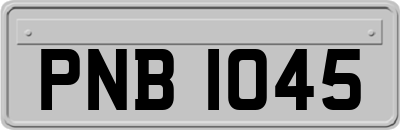PNB1045