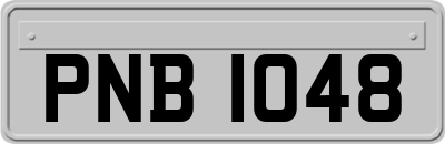 PNB1048
