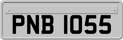 PNB1055