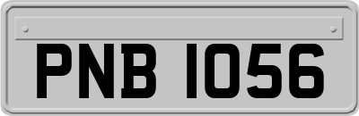 PNB1056